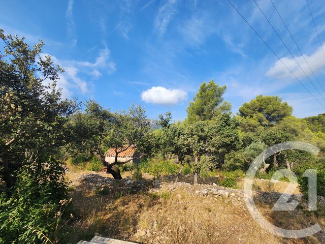 Terrain &agrave; vendre - 5258 m2 - La Valette Du Var - 83 - PROVENCE-ALPES-COTE-D-AZUR