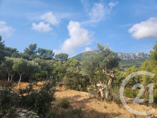 Terrain &agrave; vendre - 5258 m2 - La Valette Du Var - 83 - PROVENCE-ALPES-COTE-D-AZUR